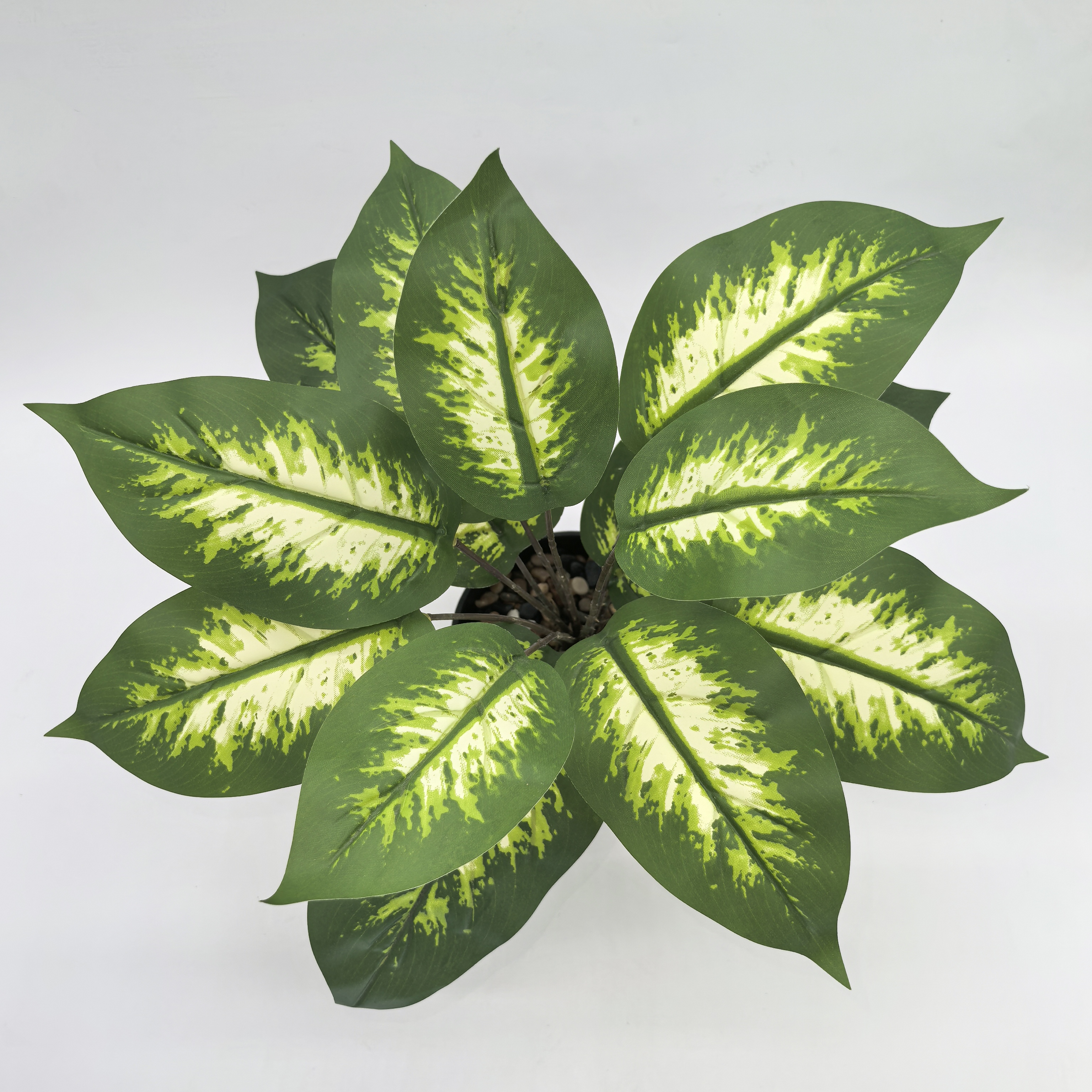 thumbnail video image 2 of CasaVibe Planta Artificial Altamente Realista de 12.6 Pulgadas Evergreen en Maceta de Plástico Verde, 2 of 9